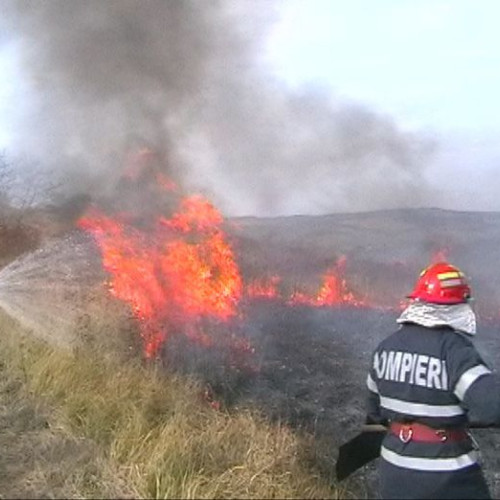 Trei incendii de vegetație stinse de pompierii din Botoșani