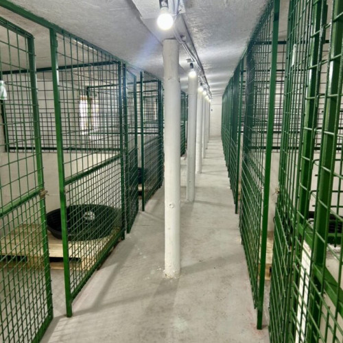 ASPA anunță renovarea unui padoc la adăpostul din Bragadiru