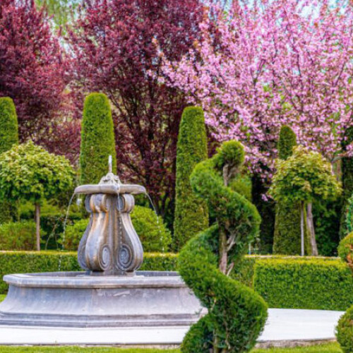 O gradină de vis în județul Hunedoara