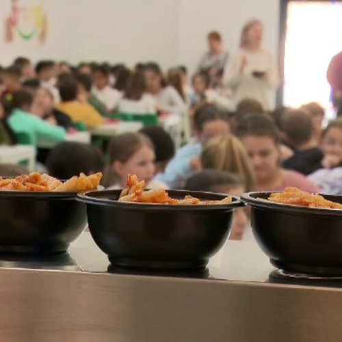 Porții de masă caldă și pachete alimentare pentru elevi