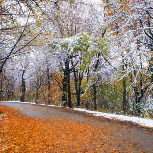 Avertizări meteorologice Cod galben pentru vreme rece și ninsori în România
