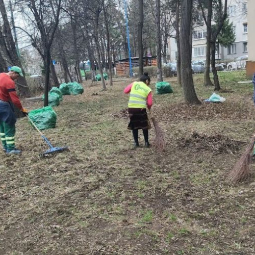 Luna curățeniei: Activități de salubrizare în municipiu