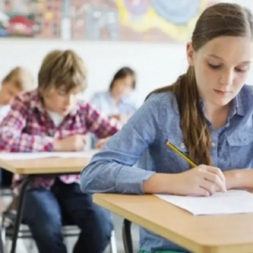 Simulări pentru examenul de Evaluare Națională: 4.831 de elevi au participat