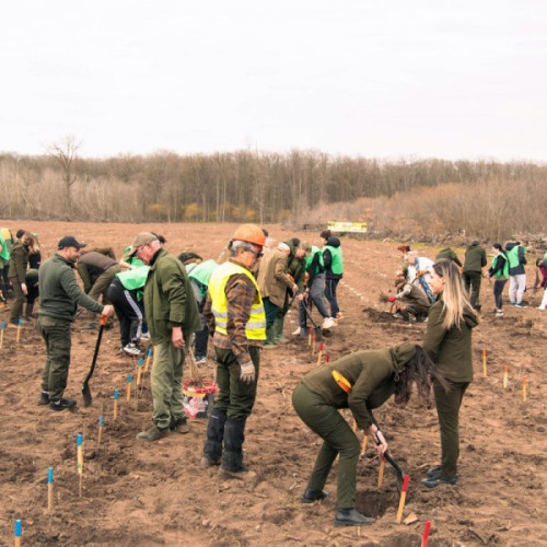 Romsilva lansează Luna Plantării Arborilor
