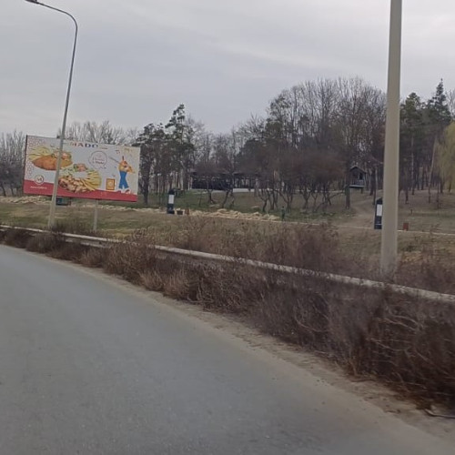 Intrarea în Botoșani, neigienică și neglijată