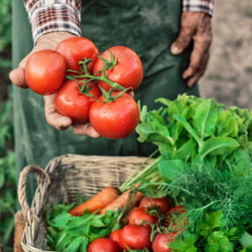 Schimbările meteorologice afectează prețul legumelor în România