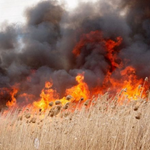 APM Vrancea avertizează asupra interzicerii arderii vegetației