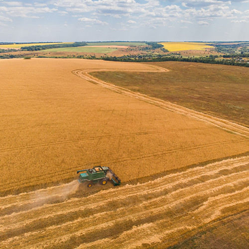 Paval Holding achiziționează Dueci Agro în Tulcea și Brăila