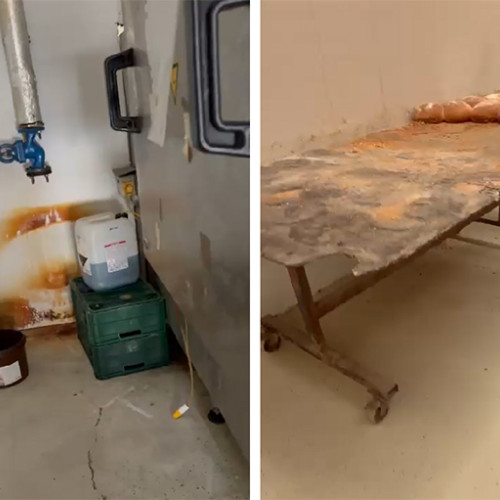 GNF Bakery Products SRL, date financiare și puncte de lucru