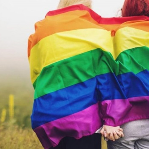 Parlamentul ungar interzice paradele gay