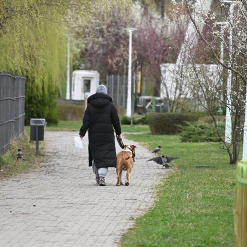 Acțiune de informare a Poliției Locale Sector 2 pentru stăpânii de animale