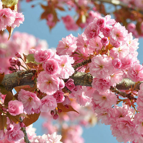 Vreme mai blândă în România după frigul din trecut