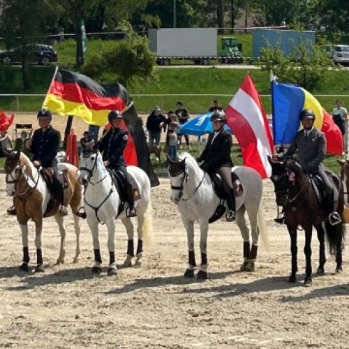 Finala Winter Tour la Working Equitation 2025 se va desfășura la Prejmer