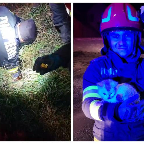 O pisică salvată dintr-o țeavă pe un șantier din Demir