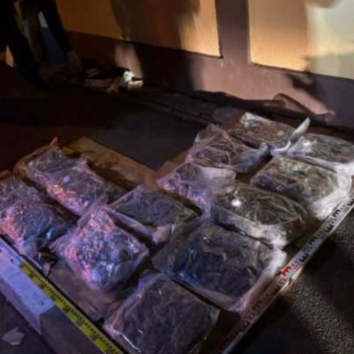 Trei traficanti retinuti pentru transport de droguri in Bucuresti