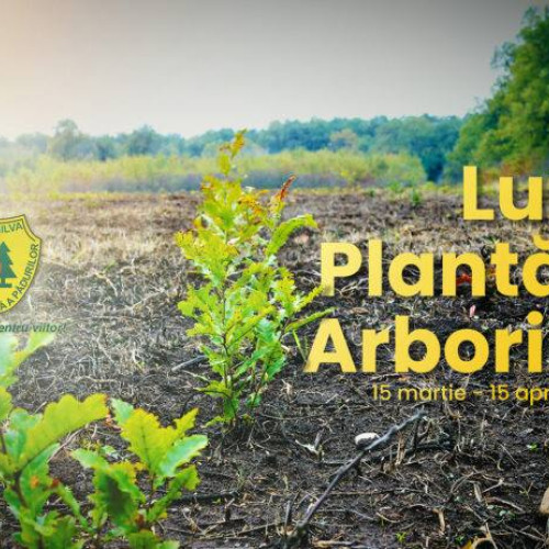 Luna Plantării Arborilor, sărbătorită de Direcția Silvică Dâmbovița