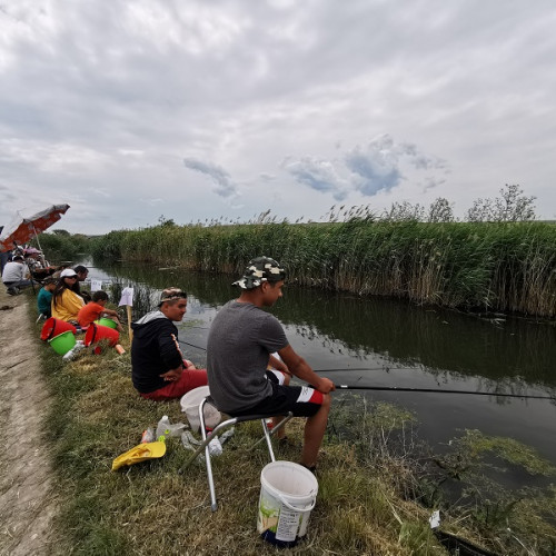 Scăderea dramatică a capturilor de pește în Delta Dunării