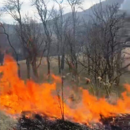Incendiu de vegetație uscată în Valea Mică
