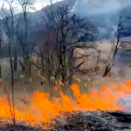Incendiu de vegetație la Valea Mica, comuna Dumitrești