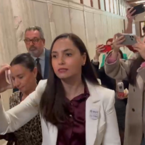 Lidera POT, Anamaria Gavrila, a sunat la poliție plângându-se de jurnaliști