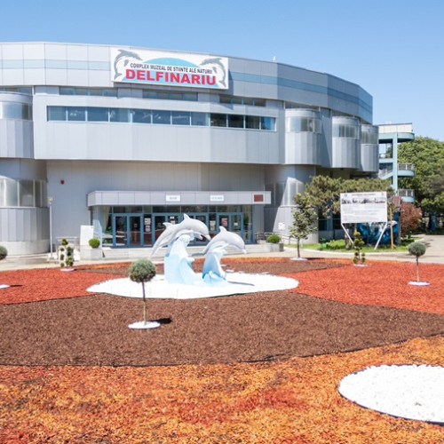 Colaborarea cu partenerii ucraineni în programul Delfinariului din Constanța