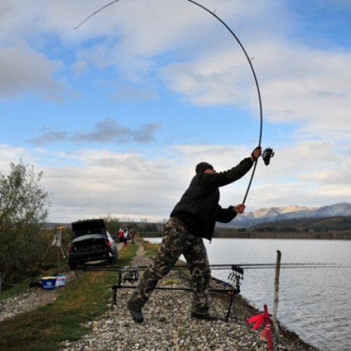 Restricții de pescuit în Delta și Marea Neagră