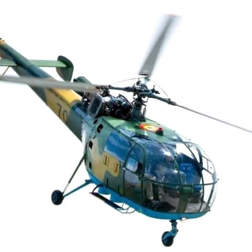 Un bărbat prins în flagrant tăind ilegal arbori în județul Hunedoara