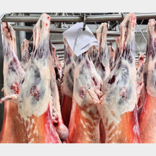 Bihor: Peste 1.000 de controale sanitare și amenzi în sectorul alimentar