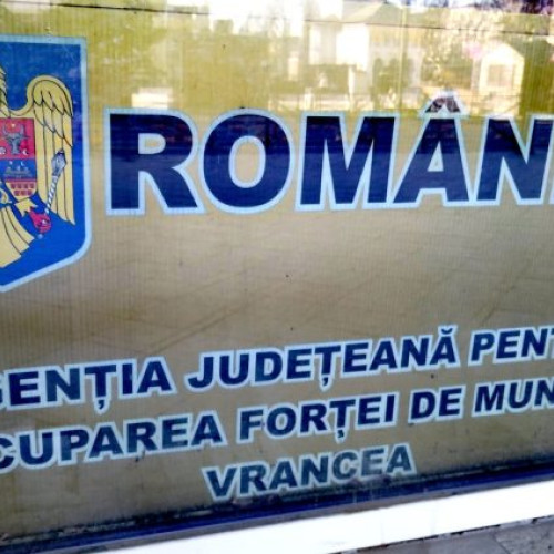 197 locuri de muncă disponibile în Vrancea