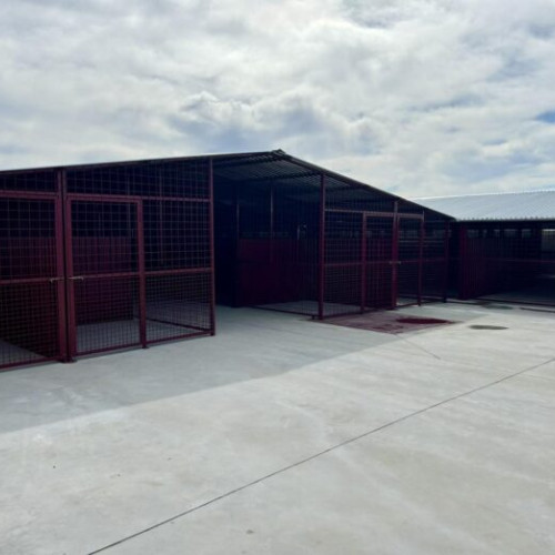 ASPA finalizează lucrările de extindere a adăpostului din Mihăilești