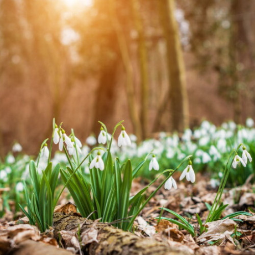 Prognoza meteo pentru luna aprilie 2025