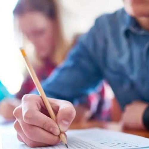 Peste 600 de studenți participă la presimularea examenului de admitere