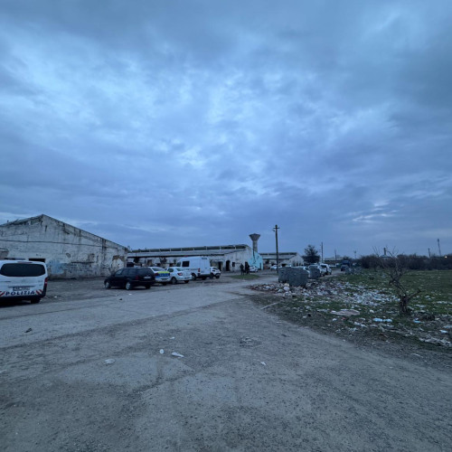 Doi tineri din Roman au părăsit arestul la domiciliu