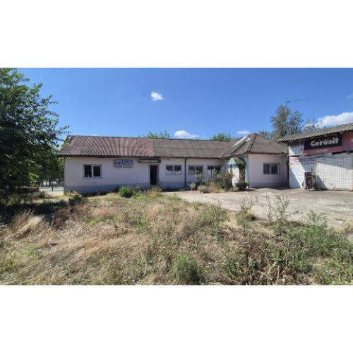 Aliax Palmes SRL intră în lichidare judiciară