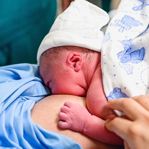 Flori și mărțișoare pentru mamele de la Maternitatea Dorohoi