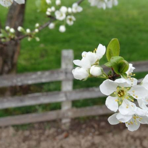 Temperaturile din România vor fi mai ridicate decât normal în următoarele săptămâni