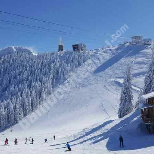 Sezonul de schi la Poiana Brașov și Sinaia continuă cu recorduri de vizitatori