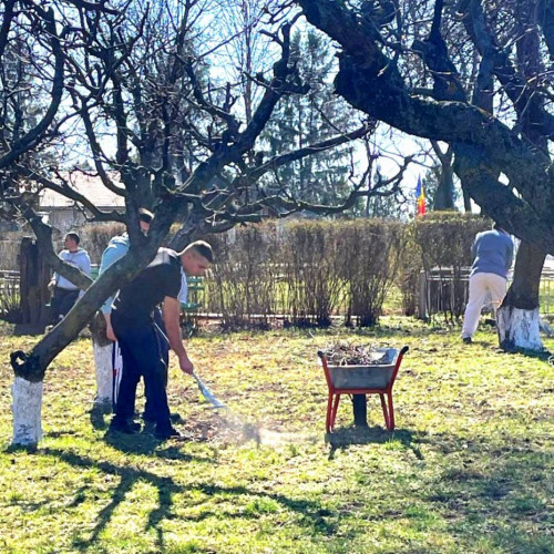 Detinuți din Penitenciarul Botoșani ajută comunitatea prin artă