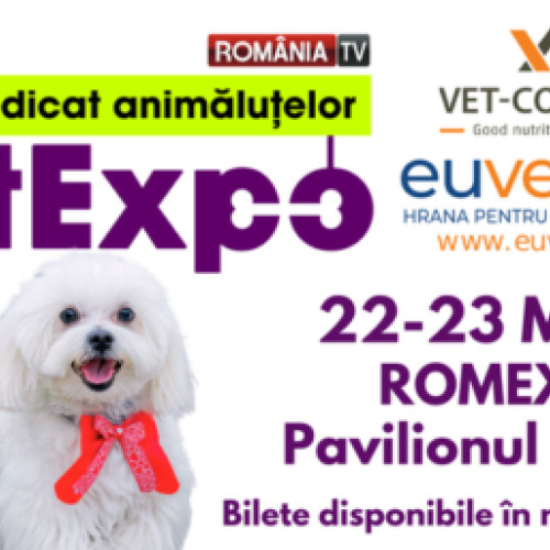 Evenimente de primăvară în București și împrejurimi