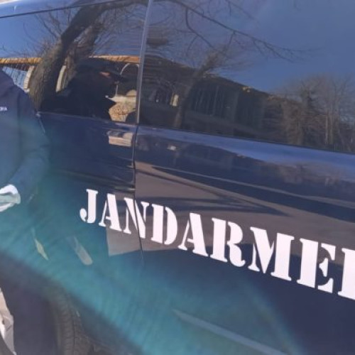 Descoperire remarcabilă într-o pădure din apropierea comunei Bărești