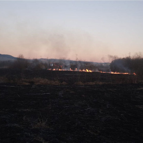 Pompierii harghiteni, activi în lupta cu incendiile de vegetație
