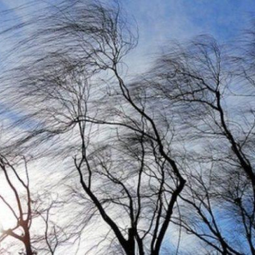 Cod galben pentru intensificări ale vântului în Botoșani