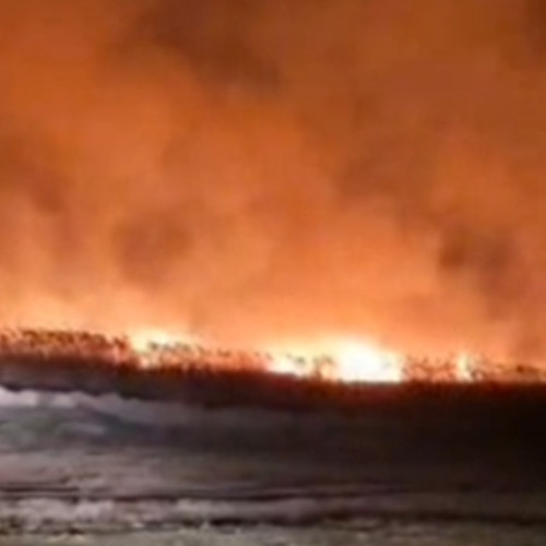 Intervenție dificilă a pompierilor în zona mlastinoasă din Babadag