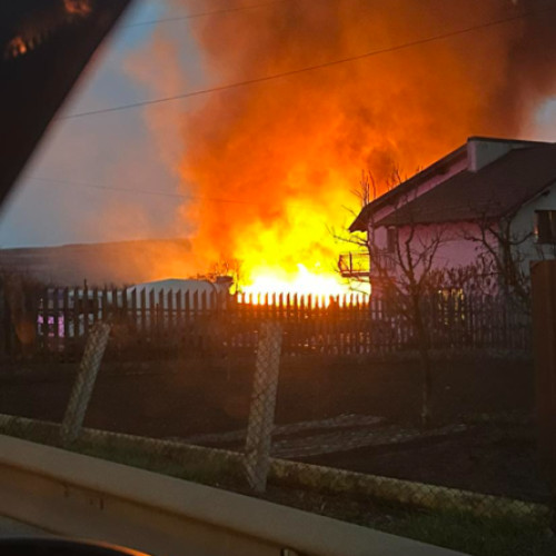 Incendiu de vegetație în localitatea clujeană Mărișel