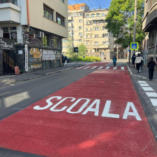 Tânăr prins cu un cuțit la Colegiul Jean Louis Calderon din Timișoara