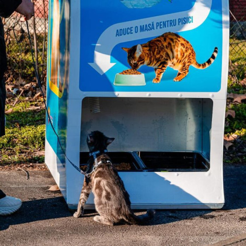 Automatele inteligente din parcuri oferă hrană pentru pisici și reciclează sticle