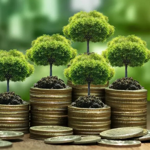 Cererile de plată pentru ajutoare de stat, până pe 30 mai