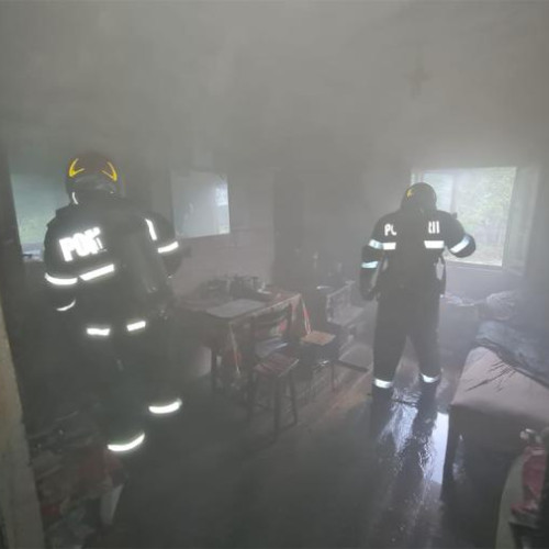 Incendiu în localitatea Geaca, fără victime