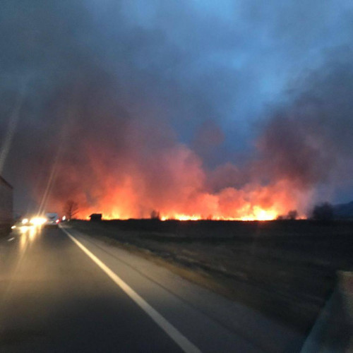 Incendiu de vegetație pe DN 1A București-Ploiești