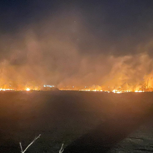 Incendiu de vegetație în Butimanu